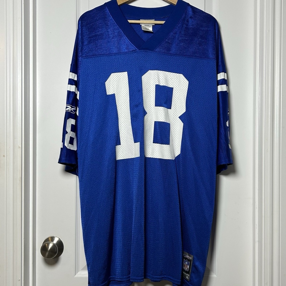 Reebok Vintage Y2K NFL Indianapolis Colts Peyton Manning #18 Blue Mesh Jersey